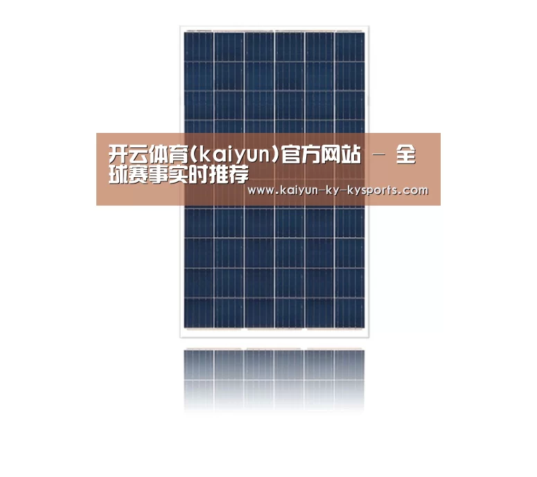 产品名称一