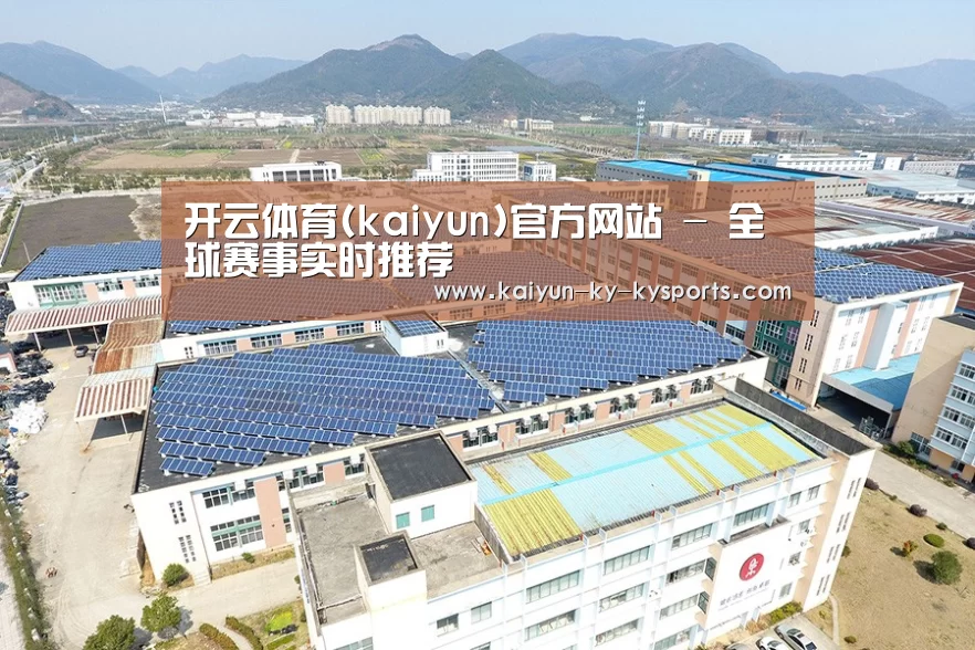 案例展示四