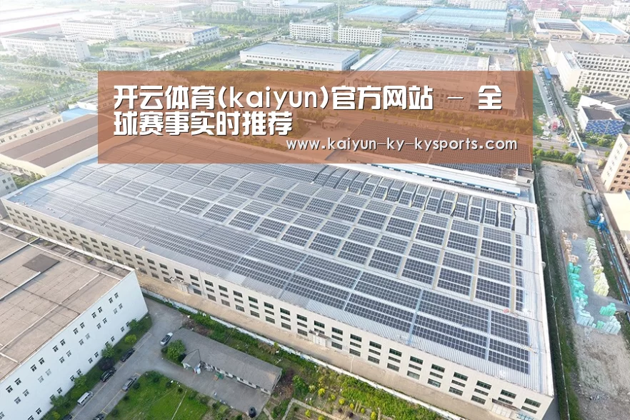 案例展示二