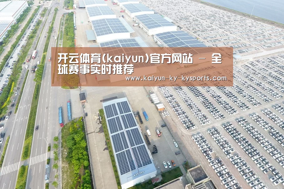 案例展示二