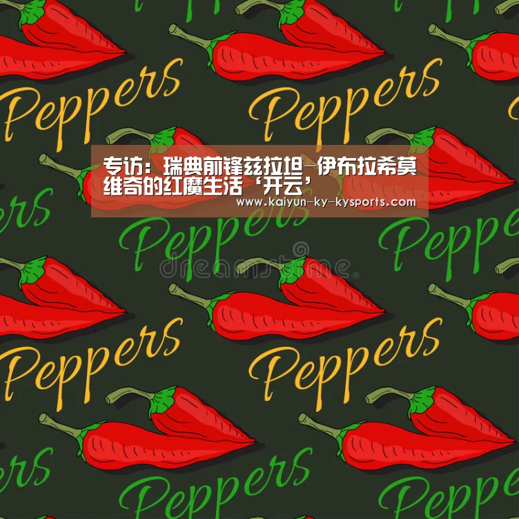 专访:瑞典前锋兹拉坦-伊布拉希莫维奇的红