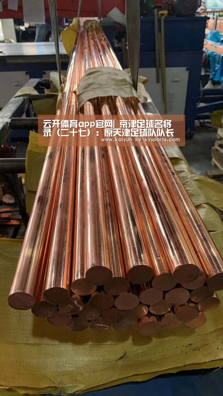 开云体育官方下载