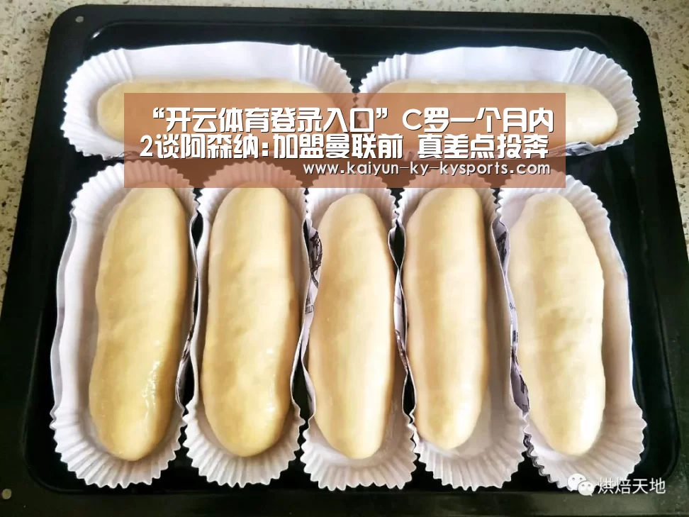 云开体育app官网