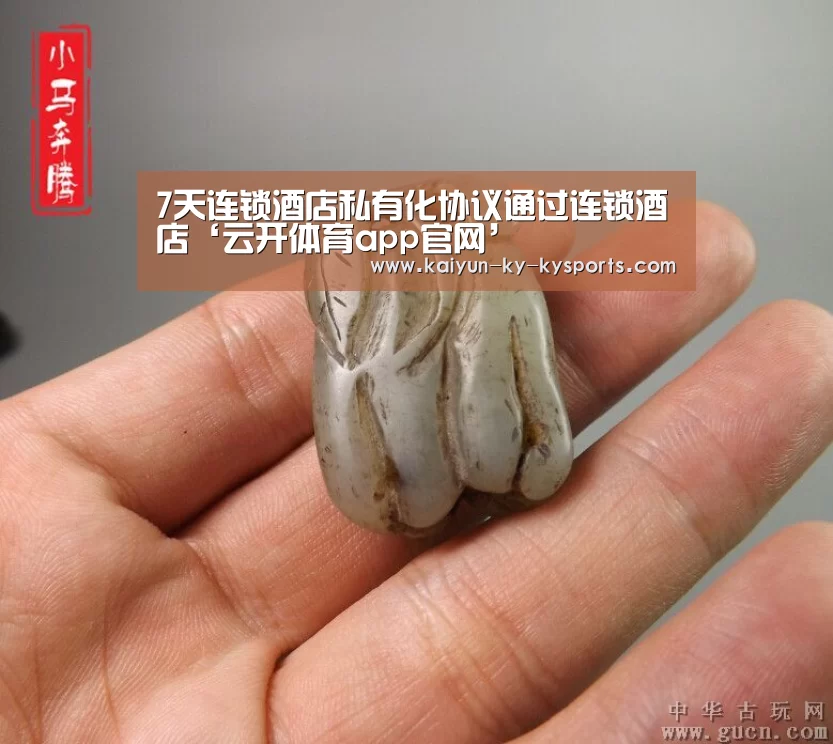 开云体育网站
